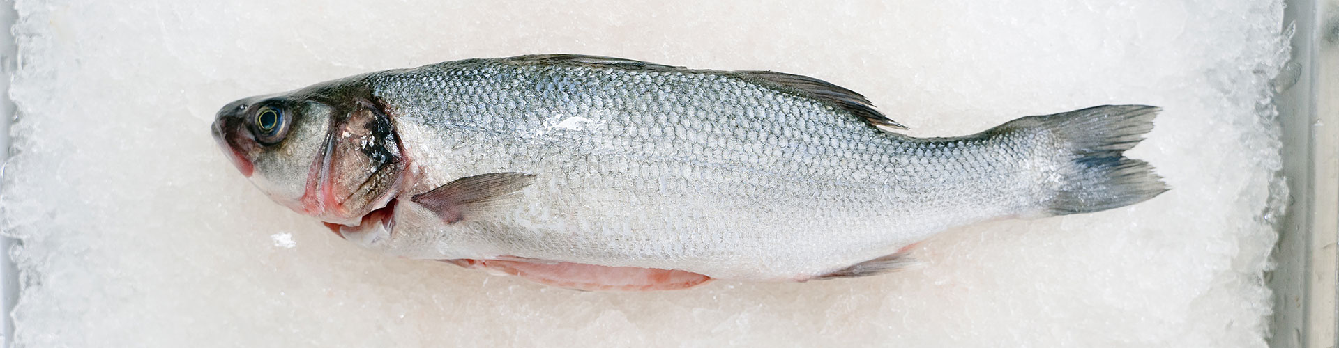 Valle Roberto : commercio di prodotti ittici per la ristorazione