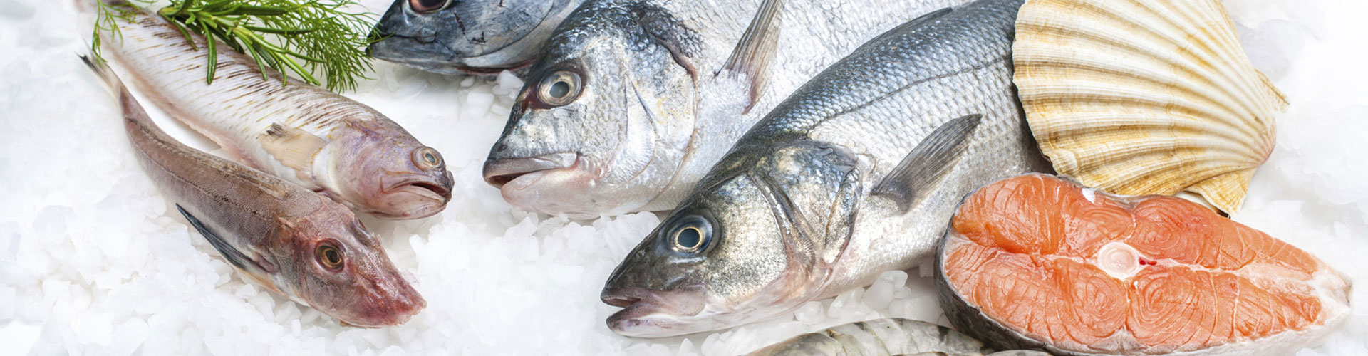 Valle Roberto : commercio di prodotti ittici per la ristorazione